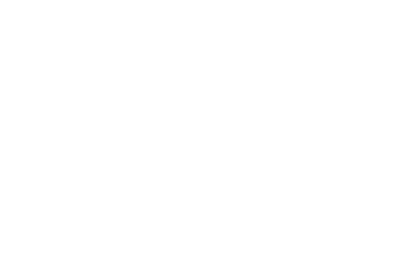 Favor Upstate Logo